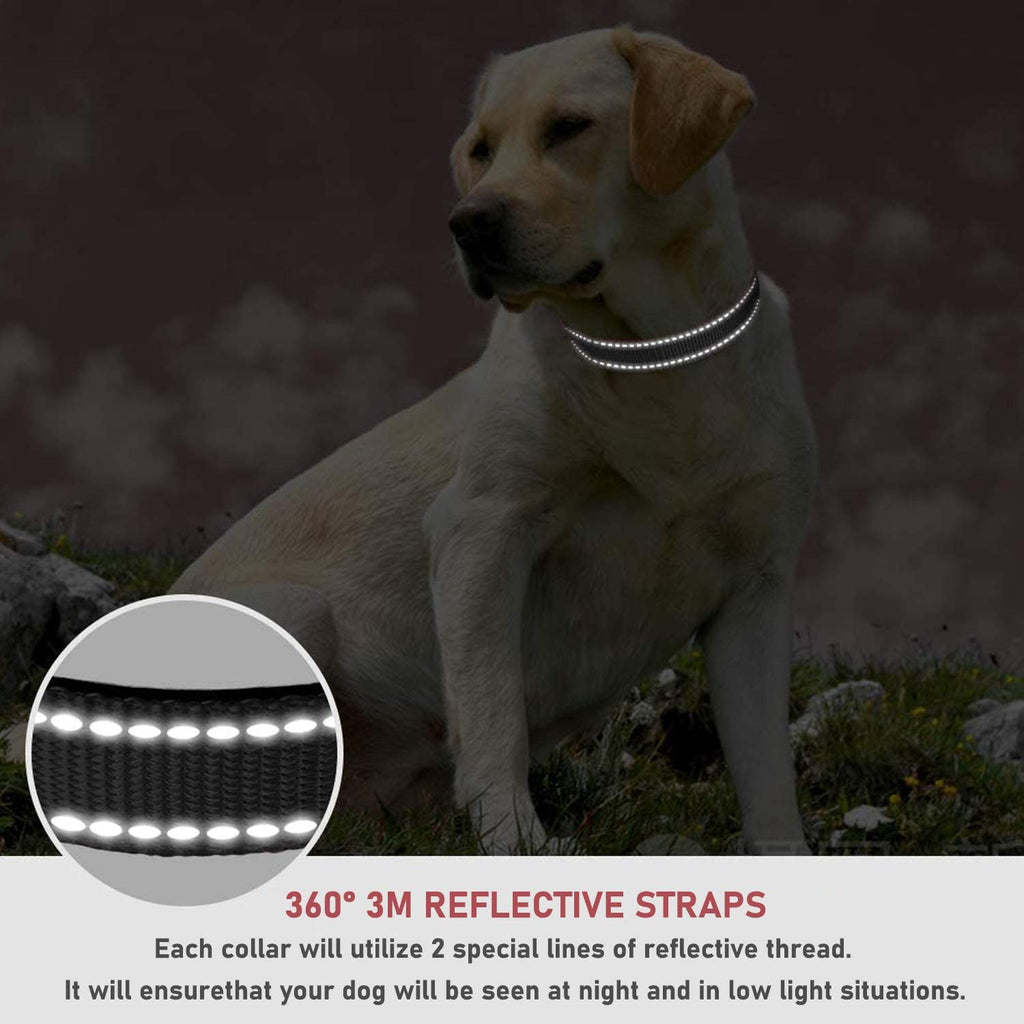 Premium Reflective Nylon Dog Collar – Adjustable Small Breed Safety Collar (Black)