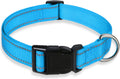 Premium Heavy-Duty Reflective Dog Collar – Adjustable High-Visibility Safety Collar