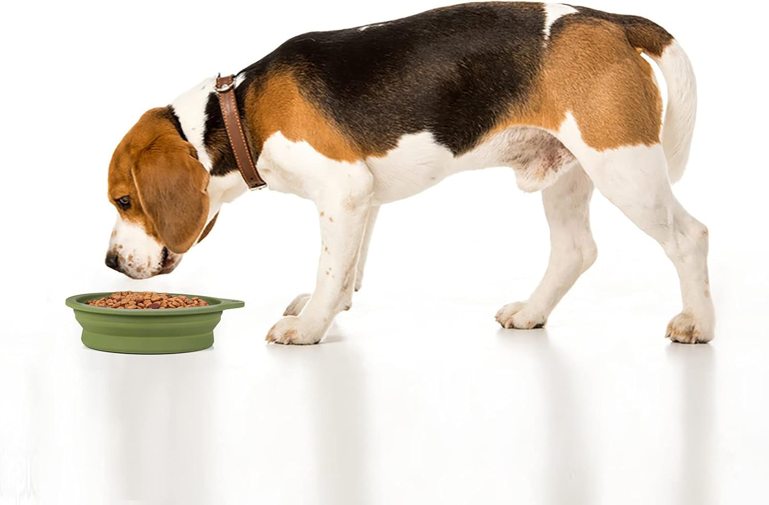Premium Collapsible Pet Travel Bowls (2-Pack) – Rimless Integrated Silicone