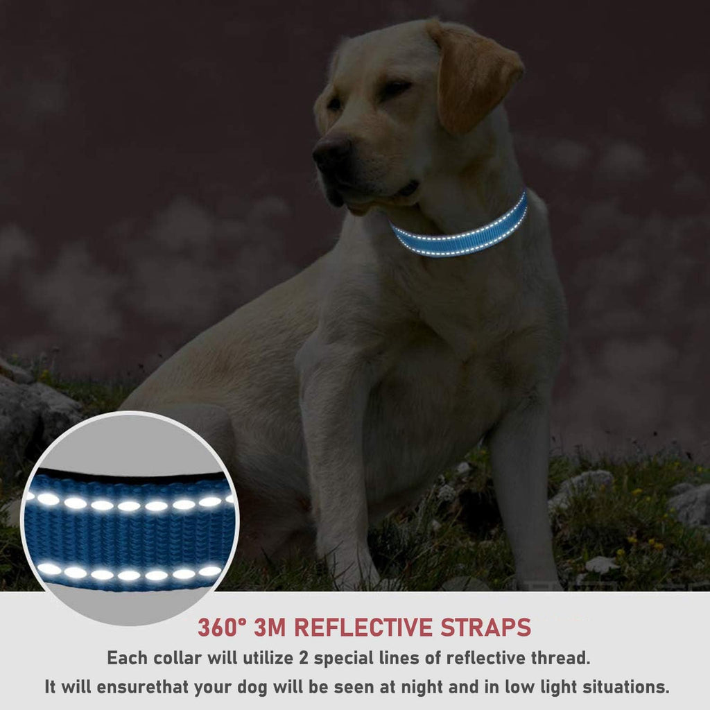 Premium Heavy-Duty Reflective Dog Collar – Adjustable High-Visibility Safety Collar
