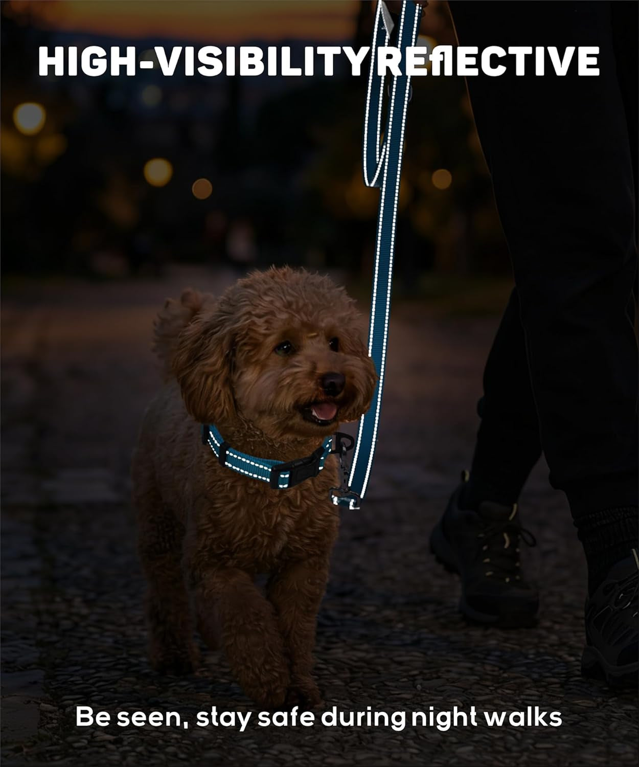 Premium Reflective Nylon Dog Collar – Adjustable Heavy-Duty Safety Collar