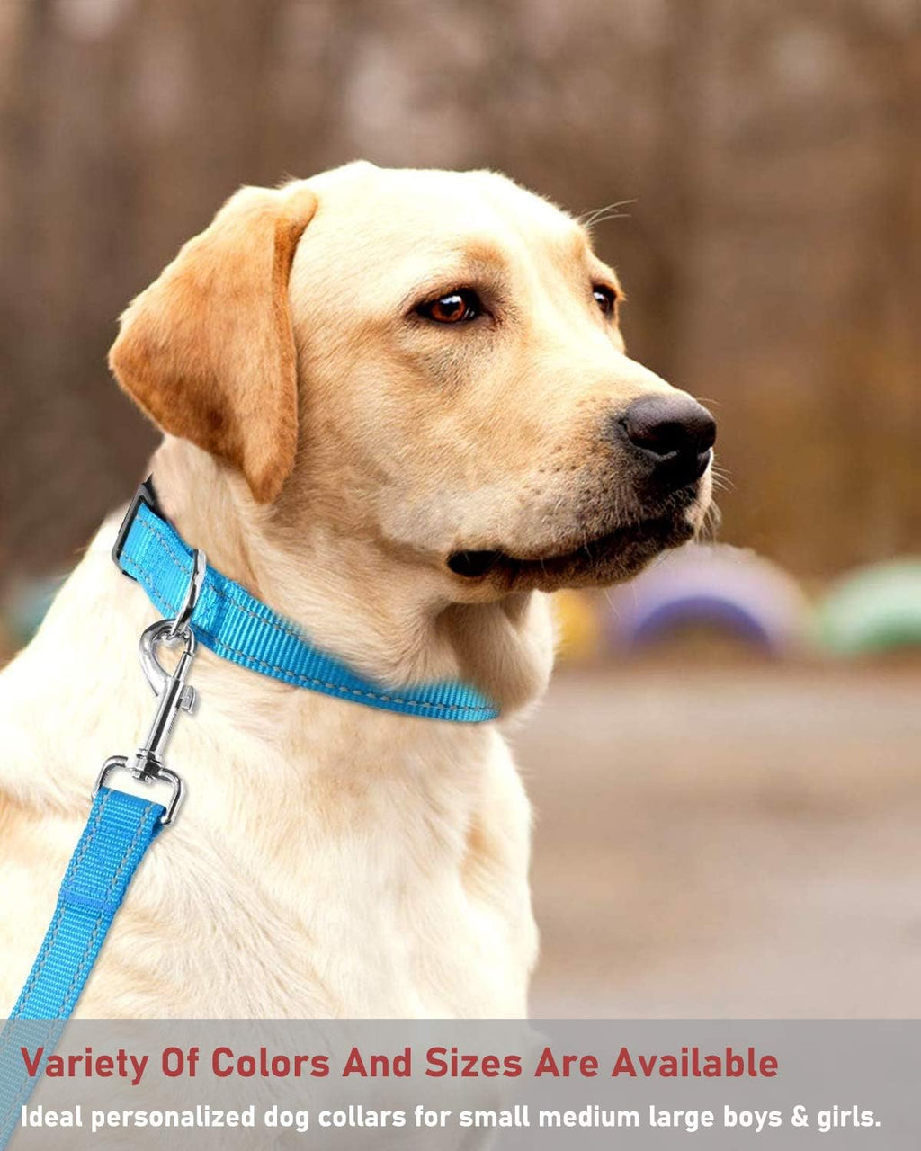 Premium Heavy-Duty Reflective Dog Collar – Adjustable High-Visibility Safety Collar