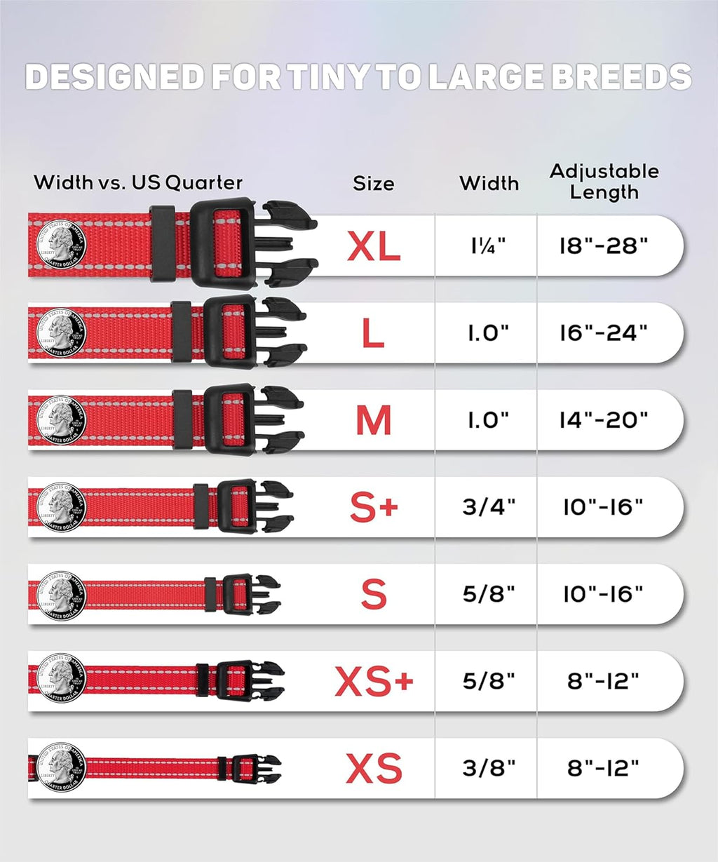 Premium Reflective Nylon Dog Collar – Adjustable Heavy-Duty Safety Collar
