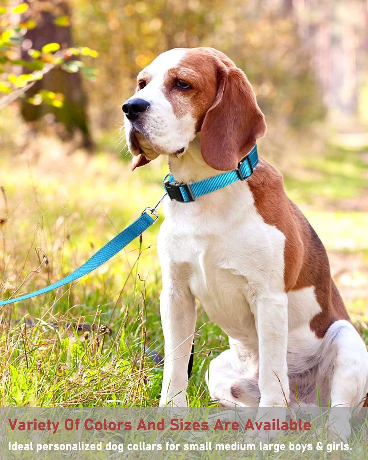 Premium Heavy-Duty Reflective Dog Collar – Adjustable High-Visibility Safety Collar