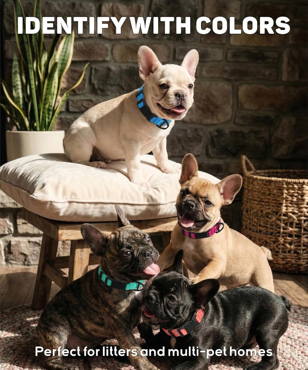 Premium Reflective Nylon Dog Collar – Adjustable Heavy-Duty Safety Collar