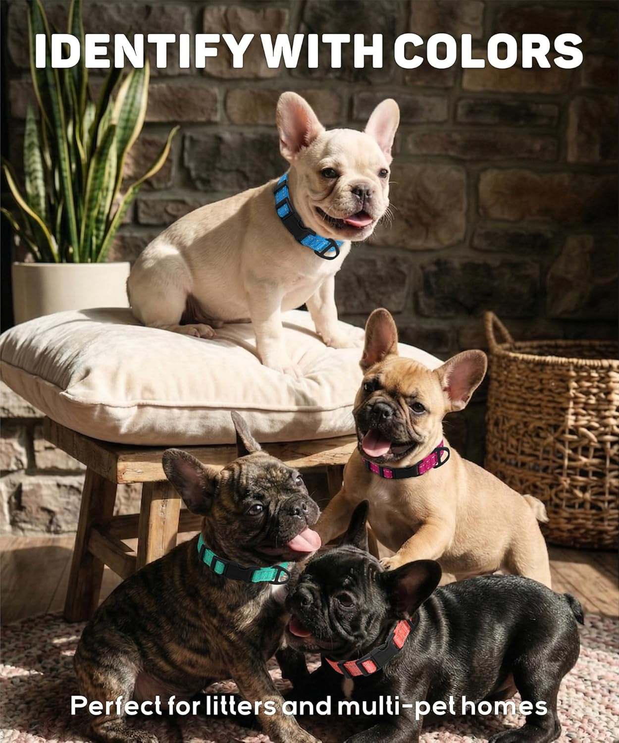 Premium Reflective Nylon Dog Collar – Adjustable Heavy-Duty Safety Collar
